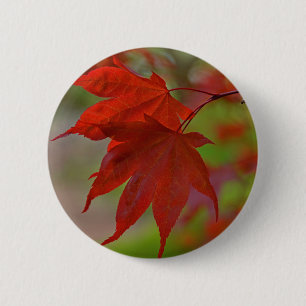 Badge Rond 5 Cm Feuilles de l'arbre rouge