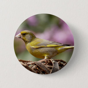Badge Rond 5 Cm Finch vert
