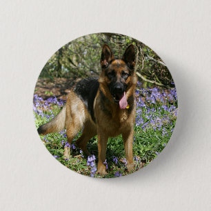 Badge Rond 5 Cm Fixation de berger allemand