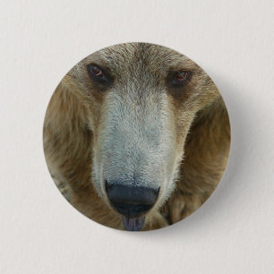 Badge Rond 5 Cm Flair de l'ours