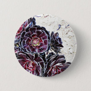 Badge Rond 5 Cm Fleur d'Aeonium sur les roches sèches