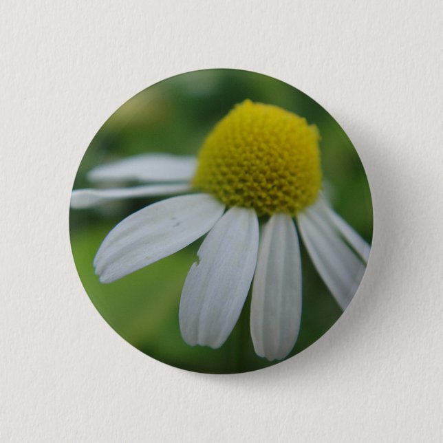 Badge Rond 5 Cm Fleur de camomille (Devant)