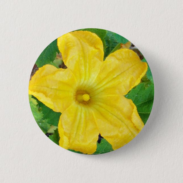 Badge Rond 5 Cm Fleur de courgettes (Devant)