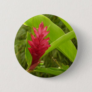 Badge Rond 5 Cm Fleur de gingembre rouge (Alpinia) tropicale