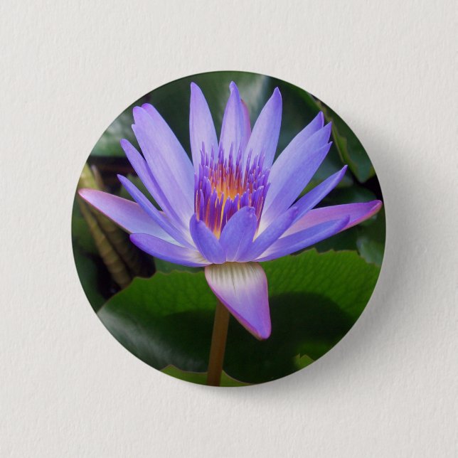 Badge Rond 5 Cm Fleur de Lotus (Devant)