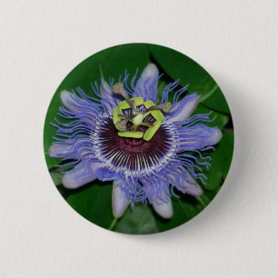 Badge Rond 5 Cm Fleur de passion de caerulea de passiflore de