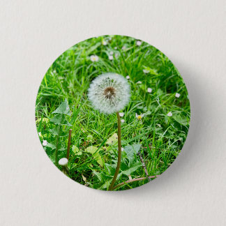 Badge Rond 5 Cm Fleur d'haleine sur un pré 1