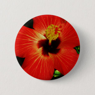 Badge Rond 5 Cm Fleur d'Hibiscus rouge-orange