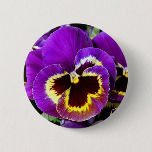 Badge Rond 5 Cm Fleur pourpre et jaune de pensée