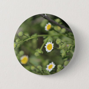 Badge Rond 5 Cm Fleur sauvage d'Ivoire Desert Rock Daisy Coachella