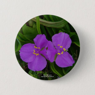 Badge Rond 5 Cm Fleur sauvage Fuchsia Spiderwort Hot Springs Cadea