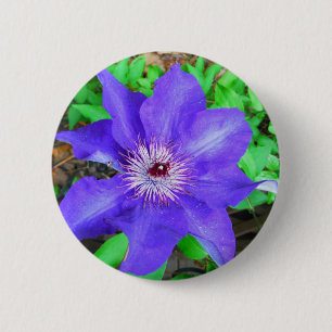 Badge Rond 5 Cm Fleur violette Clematis