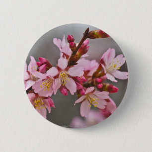 Badge Rond 5 Cm Fleurs de cerisier japonaises roses sur un ciel gr