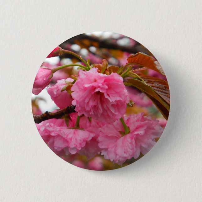 Badge Rond 5 Cm Fleurs de fleurs de cerisier rose chaud (Devant)