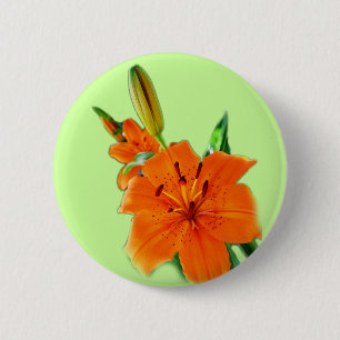 Badge Rond 5 Cm fleurs de lys dorées