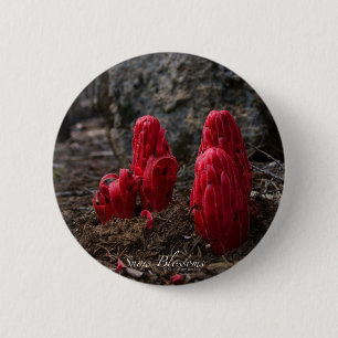 Badge Rond 5 Cm Fleurs de neige
