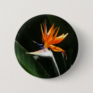 Badge Rond 5 Cm Flower tropical orange paradise