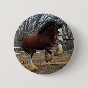 Badge Rond 5 Cm Fonctionnement de colt de goujon de Clydesdale