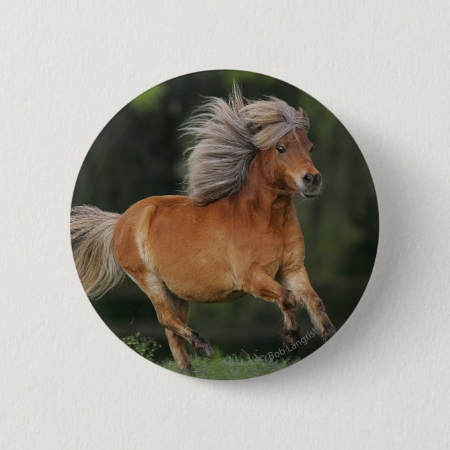 Badge Rond 5 Cm Fonctionnement miniature de cheval (Devant)