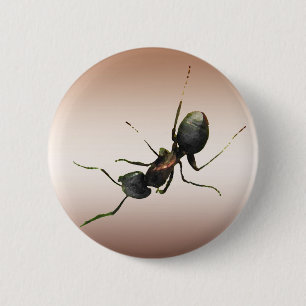 Badge Rond 5 Cm Fourmi