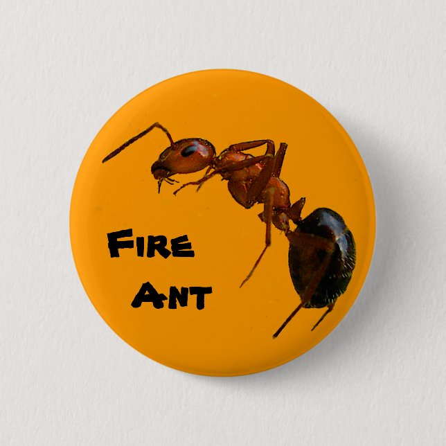 Badge Rond 5 Cm Fourmi de feu (Devant)