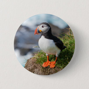 Badge Rond 5 Cm Fratercula Arctica