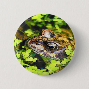 BADGE ROND 5 CM FROG