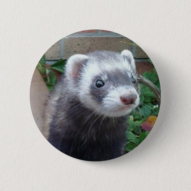 Badge Rond 5 Cm Furet de putois (Devant)