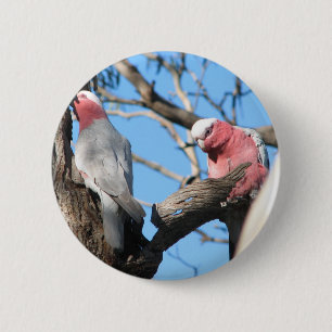Badge Rond 5 Cm Galah