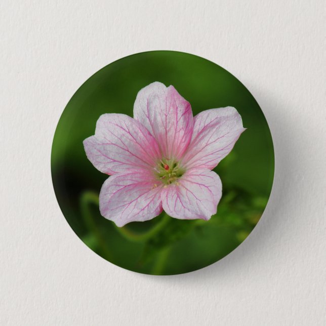 Badge Rond 5 Cm Géranium (Devant)