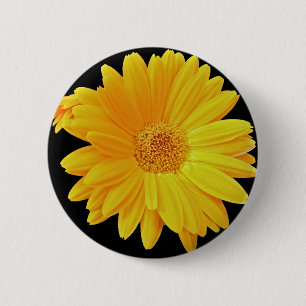 Badge Rond 5 Cm Gerbera Daisy (Gerbera hybrida) - Jaune