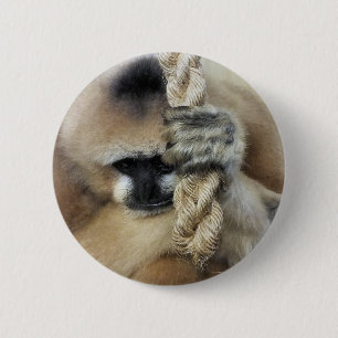 BADGE ROND 5 CM GIBBON