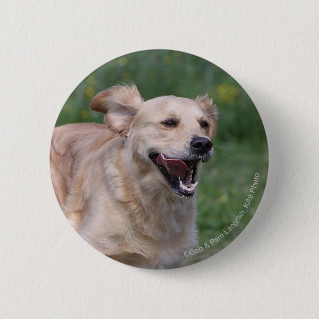 Badge Rond 5 Cm Golden retriever courant 1 (Devant)