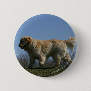 Badge Rond 5 Cm Golden retriever courant 3