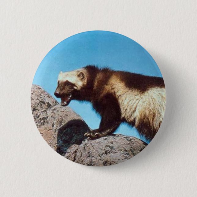 Badge Rond 5 Cm goupille de carcajou ! ! (Devant)