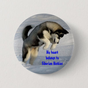 Badge Rond 5 Cm Goupille de chien de traîneau sibérien