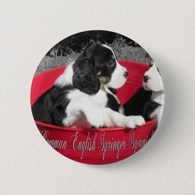 Badge Rond 5 Cm Goupilles de chiot de Springer (Devant)