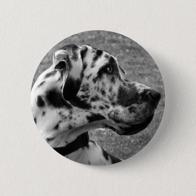 BADGE ROND 5 CM GRAND DANE (Devant)