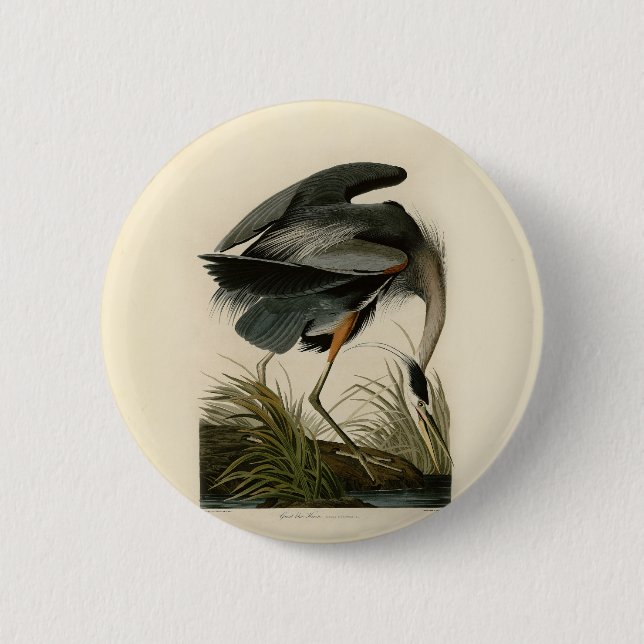 Badge Rond 5 Cm Grand Héron bleu d'Audubon Marais Oiseau (Devant)