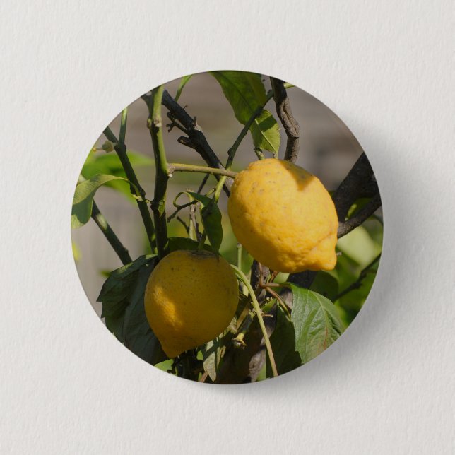 Badge Rond 5 Cm Graphiques Citron Espagnol (Devant)