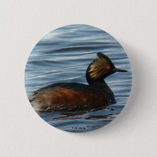 Badge Rond 5 Cm Grèbe à oreilles