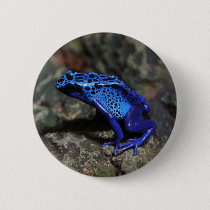 Badge Rond 5 Cm Grenouille à tarte à poison bleu, grenouille bleue