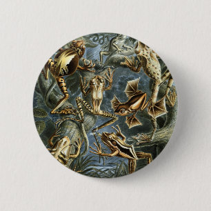 Badge Rond 5 Cm Grenouilles