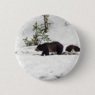 Badge Rond 5 Cm Grizzlis