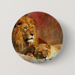 Badge Rond 5 Cm Gros Chats - 6