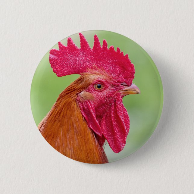 Badge Rond 5 Cm Gros plan (Devant)