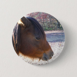 Badge Rond 5 Cm Gros plan sur le cheval Brown, Little Brown Pony