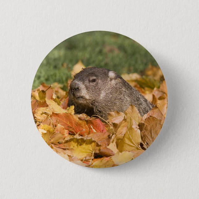 Badge Rond 5 Cm Groundhog (Devant)