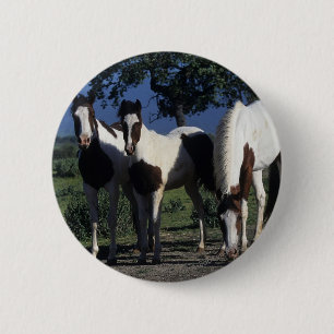Badge Rond 5 Cm Groupe de chevaux de peinture