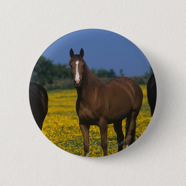 Badge Rond 5 Cm Groupe de chevaux de pur sang (Devant)